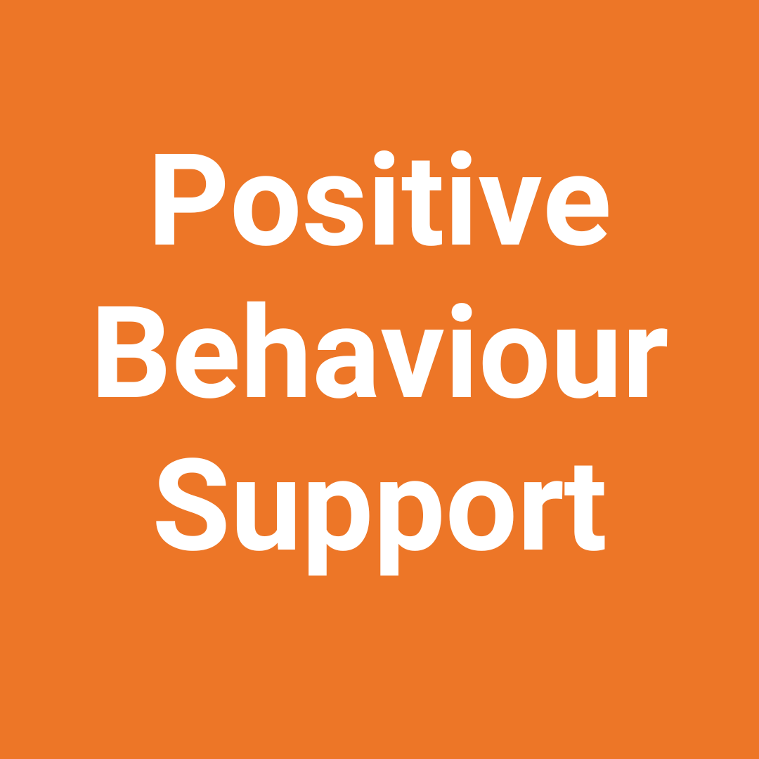 Positive Behaviour Support